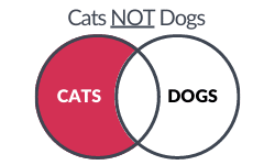 Cats not Dogs