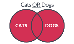 Cats or Dogs